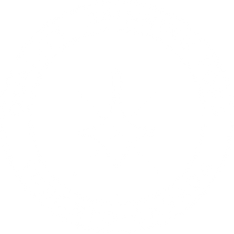 ForeverSpin World Famous Metal Spinning Tops Foreverspin